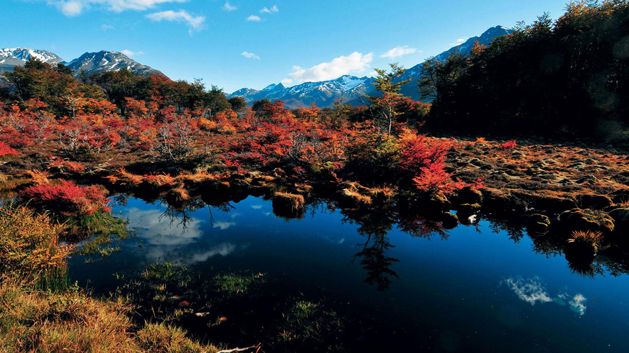 아라쿠르 우수아이아 리조트&스파 외부 사진 Autumn colours at the Ozegahara